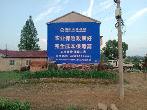 寿县墙体广告为何受追捧?